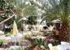 Gardenia Hotel 